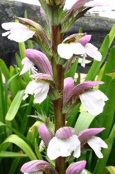 Image: Trevor James © Trevor James 